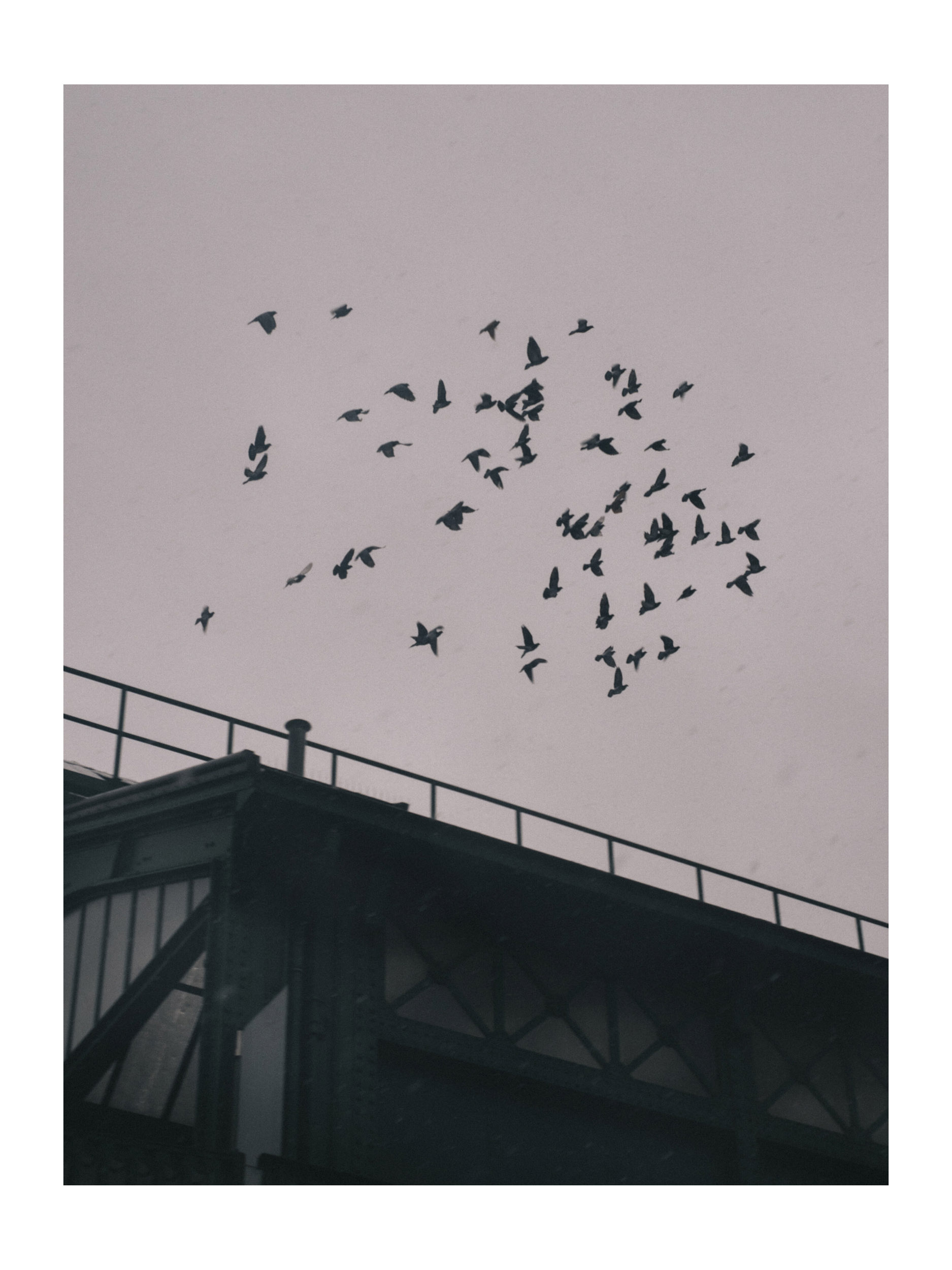 Prenzlauer Berg, 2021 OSTKREUZ SHOP